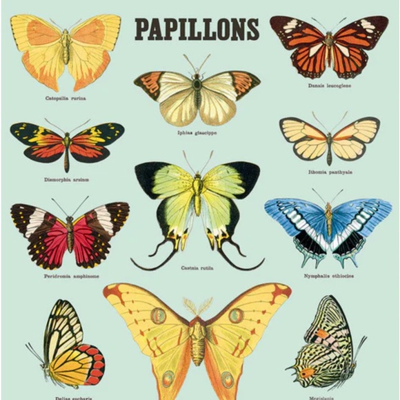 🦋 Cavallini & Co. Papillons Butterflies Luxury Vintage Image Poster - NWT - Picture 2 of 5